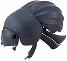 Amazon | だんごむし04 だんごむしとまんまるこがね [3.まんまる