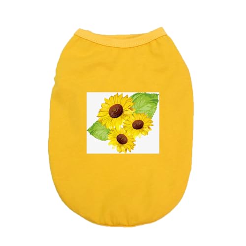 [XANPYO] ybg lGʗp S  킢 ^ ^ hbOEFA xXg CG[  Eѕی ƒ U t@bV Ăh  tVc Ȑ Ȃ ʋC t H _炩