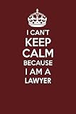 finish line careers login  I CAN\'T KEEP CALM BECAUSE I AM A LAWYER: Motivational Career quote blank lined Notebook Journal 6x9 matte finish