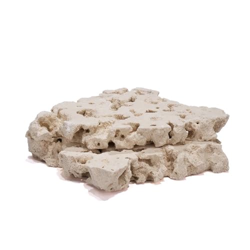 }RbN XCX l Q TS  C   CAEg