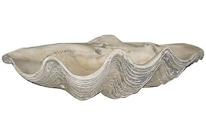 Giant Clam Shell: A Decorative Piece of Nature's Grandeur
