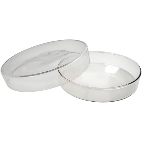 GSC International 1500-3 Glass Petri Dish, 90 mm x 15 mm