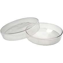 1500-3 Glass Petri Dish, 90 mm x 15 mm