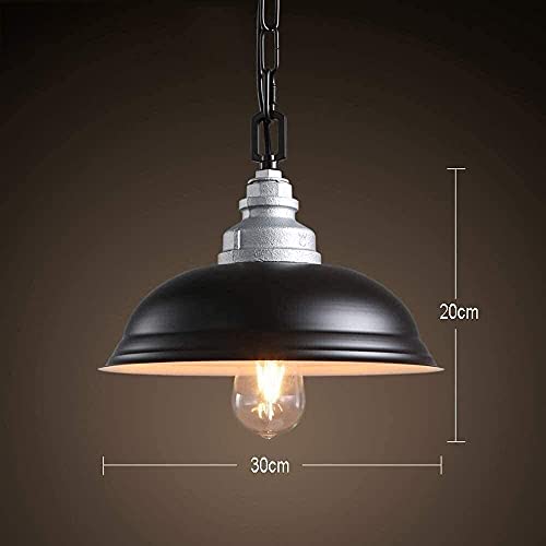 Edison lighting fixture métallique pour remplacer un éclairage de salon terne - 4