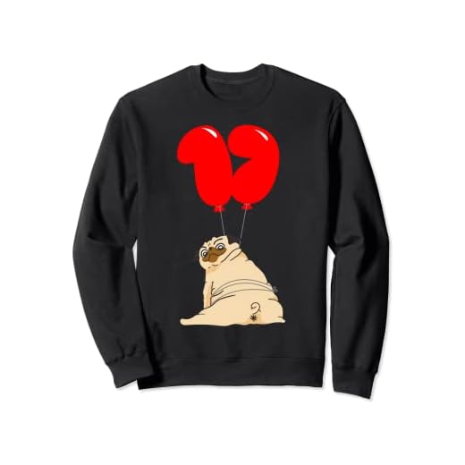 Pug Gordo - 17 Cumpleaños - Fiesta De Globos Sudadera