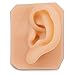 Ultrassist Soft Silicone Left Ear for Practicing Suture, Silicone Flexible Model for Education Display, Rubber Ear for Teaching Instructions