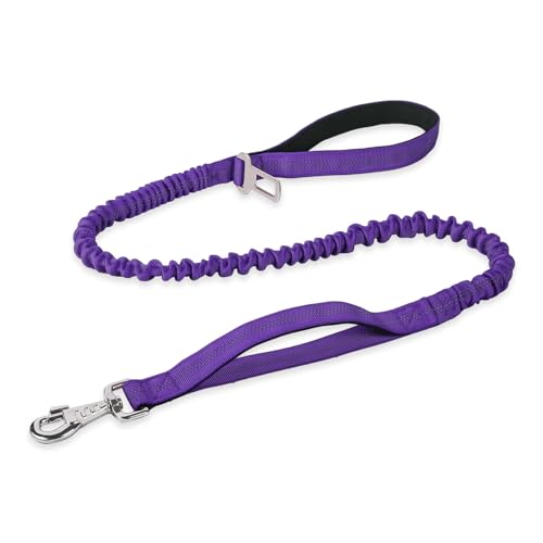 BUMBIN 6Ft Dog Leash - Large Dogs, Bungee Leash with 2 Handles, Heavy Duty, No Pull Shock Absorbing, Purple by BUMBIN - Used condition - US$8.41