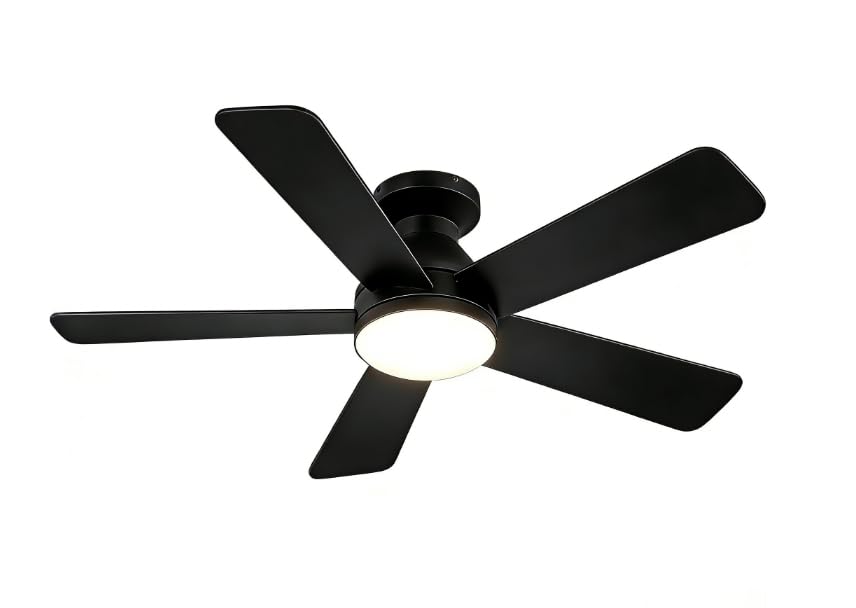 Passky Wentylator sufitowy z oświetleniem, pilot zdalnego sterowania, 107 cm, czarny | 5-skrzydłowy silnik DC timer 3 temperatury barwowe 6 prędkości odwracalne lato zima salon sypialnia