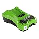 Greenworks 24V 2A Akku Ladegerät, für Greenworks 24V Batterien G24B2 & G24B4, Original Greenworks Ladegerät, Wandmontage + LED-Ladeindikator, Für alle 24V Akkus geeignet, 3 Jahre Garantie, G24C