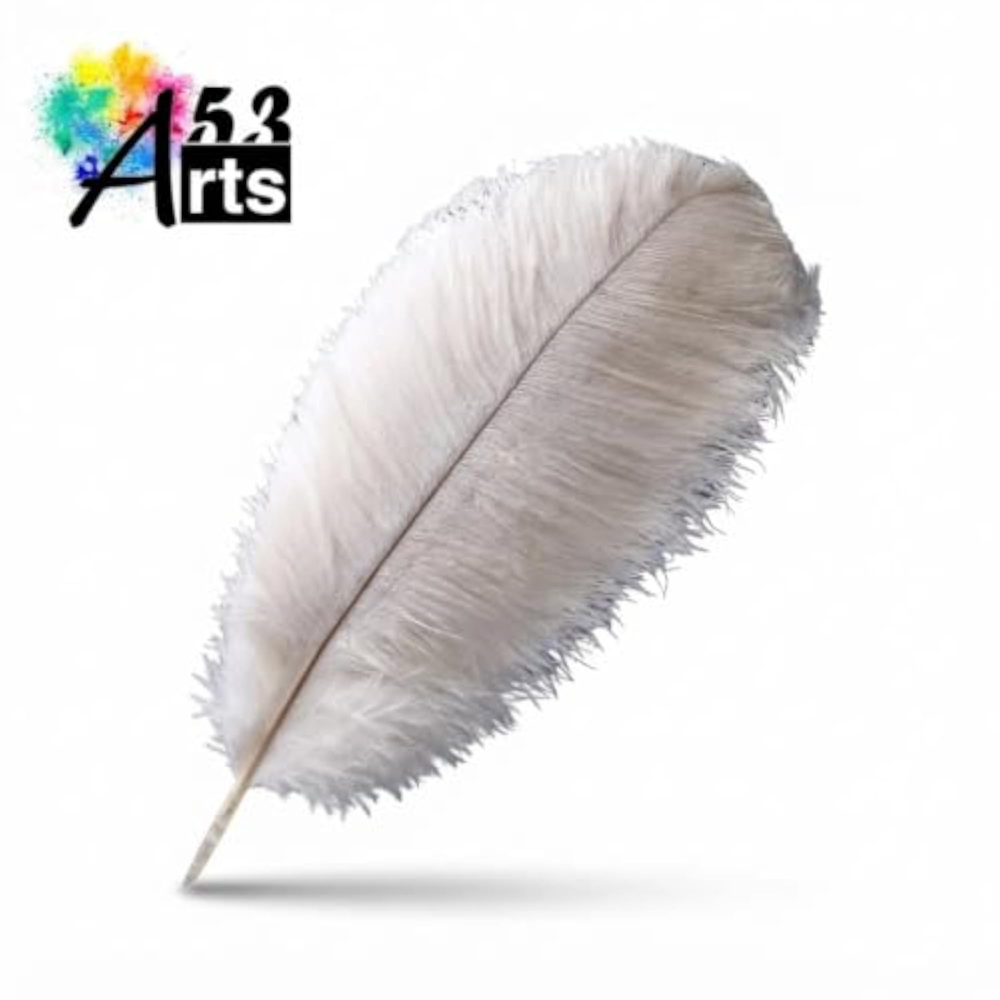 5 PCS Natural Ostrich Feathers for Craft & Decor
