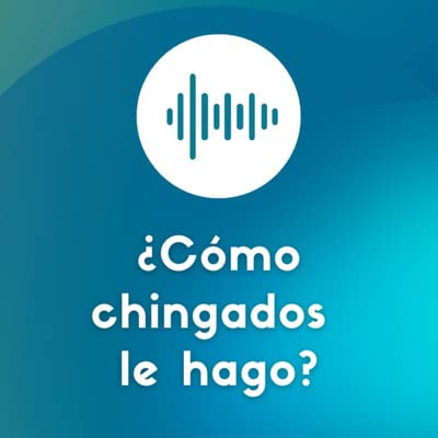 『E13 ¿Cómo chingados le hago para renunciar?』のカバーアート