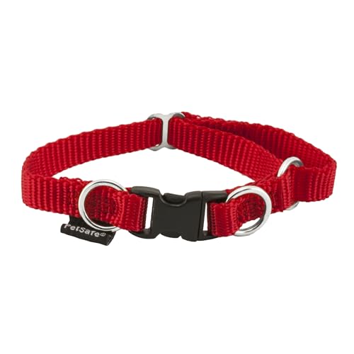 Collar para perros Break Away Los 15 mejores productos comparados