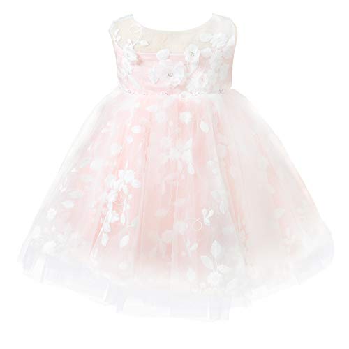 OPAWO Baby Girl Party Dress Princess Girls Wedding Dresses Embroidery 3D Flower Tulle Lace Birthday Pageant Gown 0-24M (Blush-Y2107, 9-12 Months)