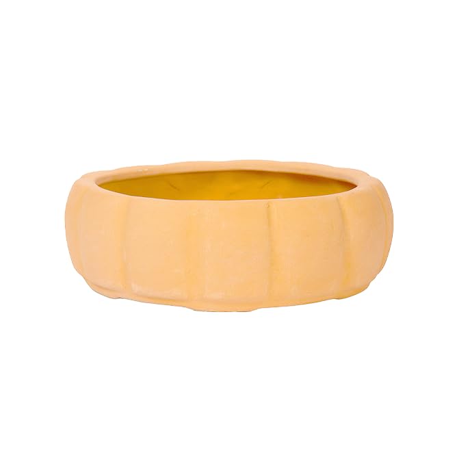 Village Decor Terracotta Round Shape Bonai Planter|Succulent Planter with Drainage Holes|Dia-8 inch (B0CK1MLZG7) Amazon Price History, Amazon Price Tracker