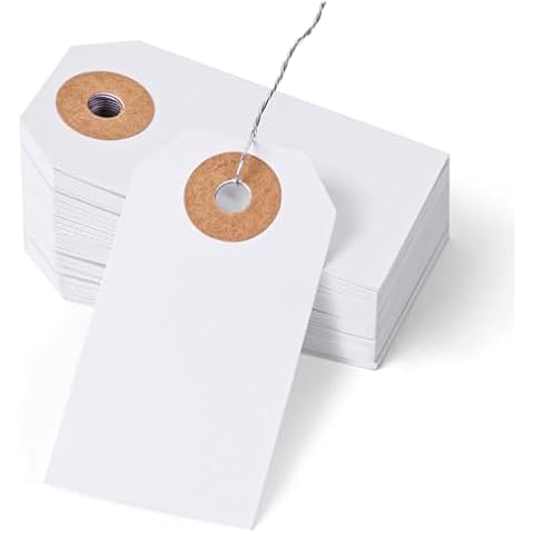 SallyFashion 100PCS Shipping Tags with Wire, White Manila Tags with Reinforced Hole 1.4x2.6inch Cardboard Hang Label for Labeling Equipment Inventory Luggage Clothes Cover