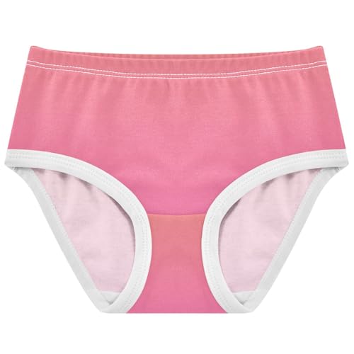 Joisal Coral Pink Hot Gradient Little Girl Panties Toddlers Underwear Floral Cotton Fancy Underpants Briefs 2t