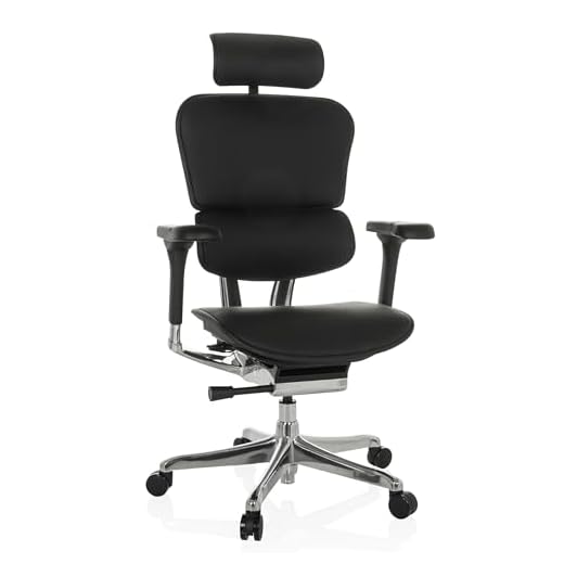 Ergonomischer Bürostuhl ERGOHUMAN GEN2 Schwarz