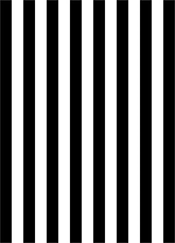 Fondos Fotográficos Rayas Verticales 3x5ft Blanco y Negro miniatura 6