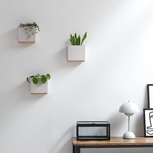 Kazai. Wall Planters -Alma- | 3 Modern Hanging Plant Pots Made Of Resin | Plant Holder Set For Indoor Plants, Artificial Plants And More | Gray #TOP3