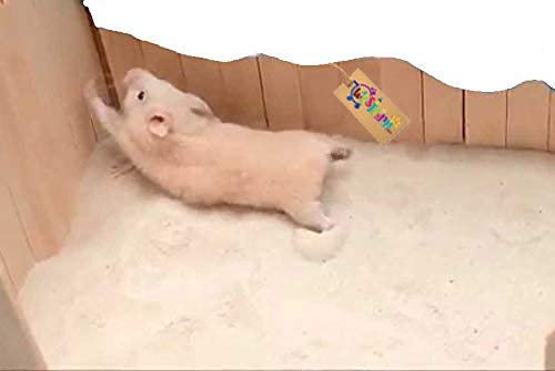 Western Era Playfull Sand Bath for Hamster, Gerbill (200grm) (Apple)