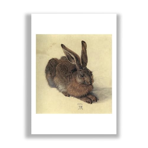 Impression d'art mat du Jeune lièvre d'Albrecht Durer grand format par Spiffing Prints
