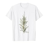 Vintage Juniper Tree