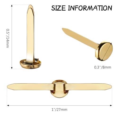 image for Ferraycle 500 Pieces Mini Brads Fasteners Brass Paper Fasteners Metal 