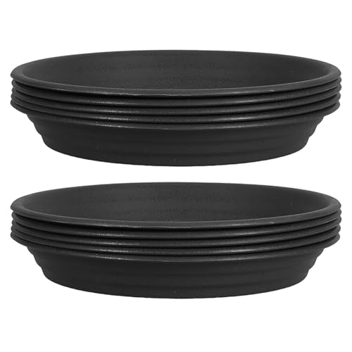 GANAZONO 10 ÃhbvgC A̐AgC ۂAؔ̎󂯎M