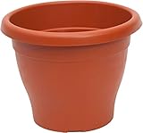 PAMEX Maceta Mediterranea (25cm)