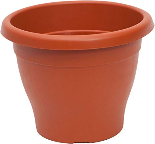 PAMEX Maceta Mediterranea (25cm)