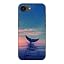 dolphins,seaside