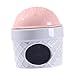Bothyi Hamster Habitats Ceramic Hamster Nest Ice Cream Shape Hut Cute Pet Hideout Cool House for Chinchilla Birds Squirrels Chipmunk, Pink