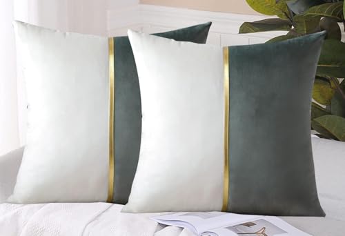 Image of HIMS Velvet Sofa Pillow Cover Set of 2, Luxury Cushion Cover 22 inch x 22 inch for Decorative Living Room Sofa Bedroom Car (22x22 Inch, Gray)