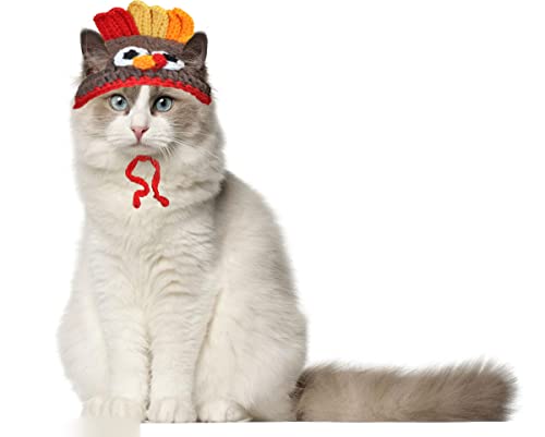 Disfraz de gorro pavo para mascotas pequeño miniatura 3