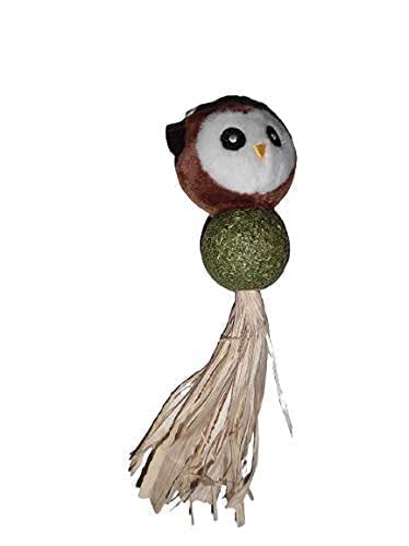 Woofy Catnip Toy for Cats Catnip Edible Natural Attractive Mint Fragrance Interactive Toy Licking Playing Toys for Cats & Kitten (B0B2RCB8NB) Amazon Price History, Amazon Price Tracker