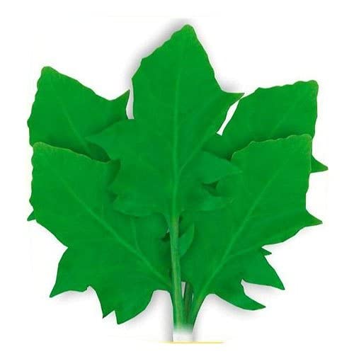 Go Green Spinach/palak Pahari-50 Seeds (B00KT02E6E) Amazon Price History, Amazon Price Tracker