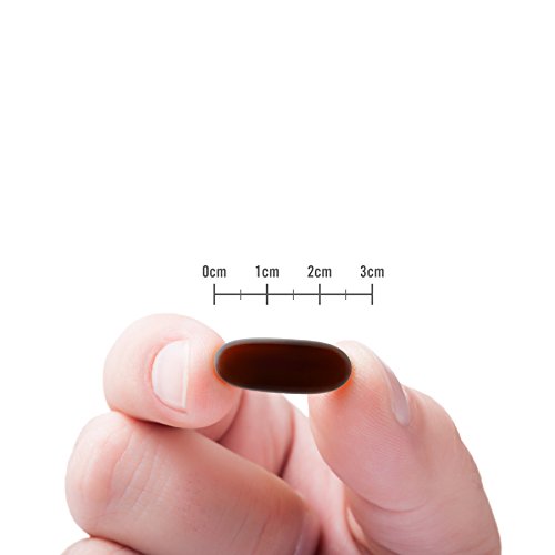 Naturewise Cla 1250 Natural Exercise Enhancement (1-Month Supply), Support Lean Muscle Mass, Promote Energy, Non-Stimulating, Non-Gmo, Gluten-Free, & 100% Safflower Oil (Packaging May Vary) (90 Count) #TOP5