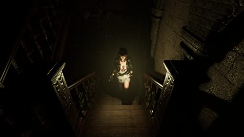 Tormented Souls PS4 Neuf - vue 9