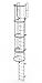 Tri-Arc WLFC1218 18-Rung Walk-Thru Fixed Steel Ladder with Cage