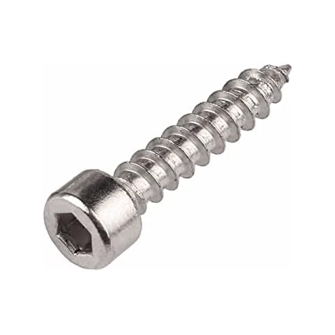 MOOPW Sprecher Selbstbohrende Schrauben - 304 Edelstahl Zylinderkopf Treibschrauben Trompete Fassungskappe Holzschrauben M3 M4 M5 M6 Cover