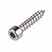 Price comparison product image MOOPW Speaker Self Tapping Screws - 304 Stainless Steel Cylindrical Head Socket Cap Trumpet Machine Wood Screw M3 M4 M5 M6
