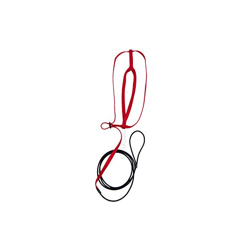 Image of The AVIATOR Pet Bird Harness and Leash: XX-Large Red
