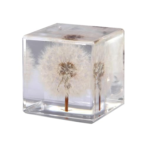 Real Dandelion Specimen Embedded in Clear Resin Block, 1.6 x 1.6 x 1.6 inches