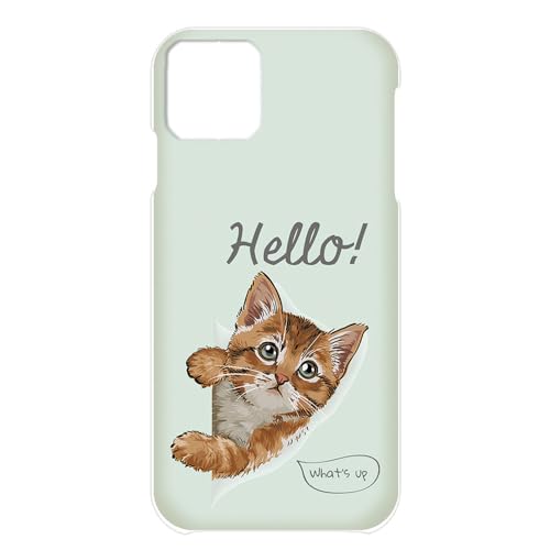 iPhone 13 mini p n[hP[X ACtH13~jP[X [ X}zJo[ Ђj ˂ n 킢L [ h210674