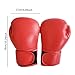 MotiveTech Martial Arts Gloves for Boxing Training, XL