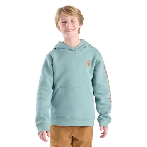 Image of Carhartt Kid's CA6272 Long-Sleeve Graphic Sweatshirt - Boys