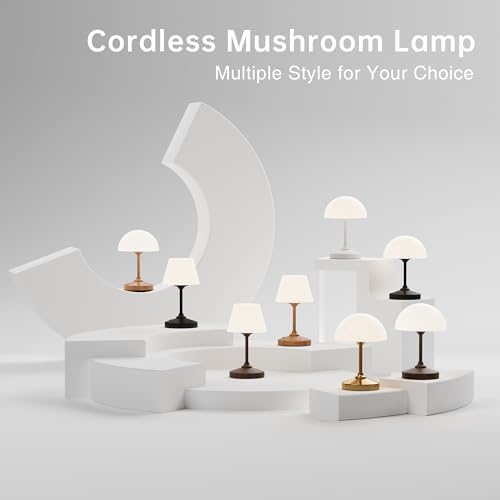 Image of Dawnwake Desk Lamp Cordless Table Shower Lamp Waterproof,Rechargeable Battery Operated Lamps for Bedroom Night Stands,3 Colors Touch Dimmable Small Outdoor Lamps,4000mAh LED Wood Grain