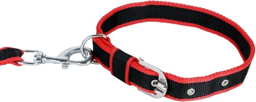 Image of THE BON BON Premium 5ft Dog Leash and Collar Set for Large Dogs | Heavy Duty Nylon with Reflective Stitching, Padded Handle, Adjustable Collar | Ideal for Walking and Training (Black, Medium)