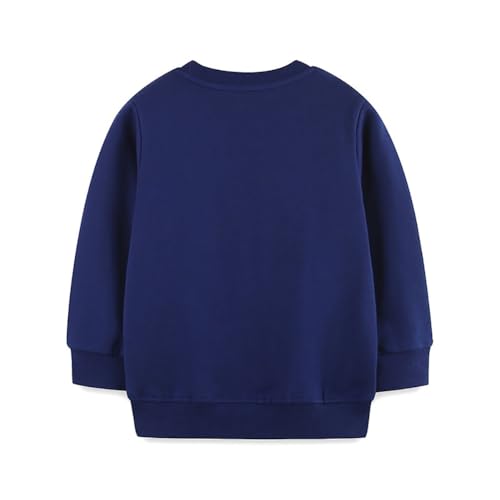 Boys Sweatshirts Casual Sweatshirts Cotton Sweatshirts Long Sleeve T-shirts Crew Neck Cartoon Tops for Boys-3162