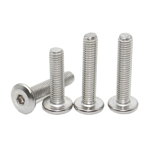 10個 304 ステンレススチール M3 M4 M5 M6 M8 大型フラット六角六角ソケットヘッドネジ 家具用ネジ コネクタ ジョイントボルト(100mm,M6 (10pcs))